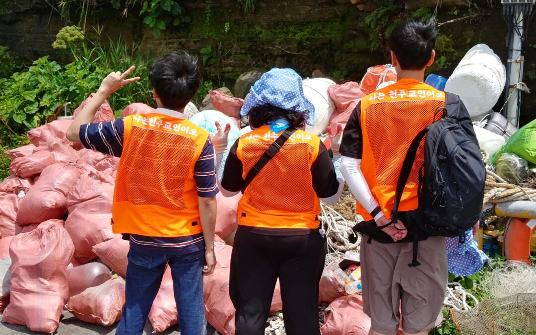 2023 여름 활동: 늘작