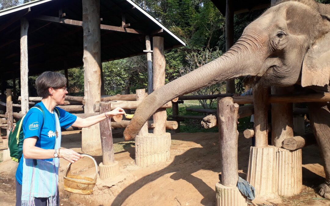 한 겨울에 입춘, 새로운 미소의 기적