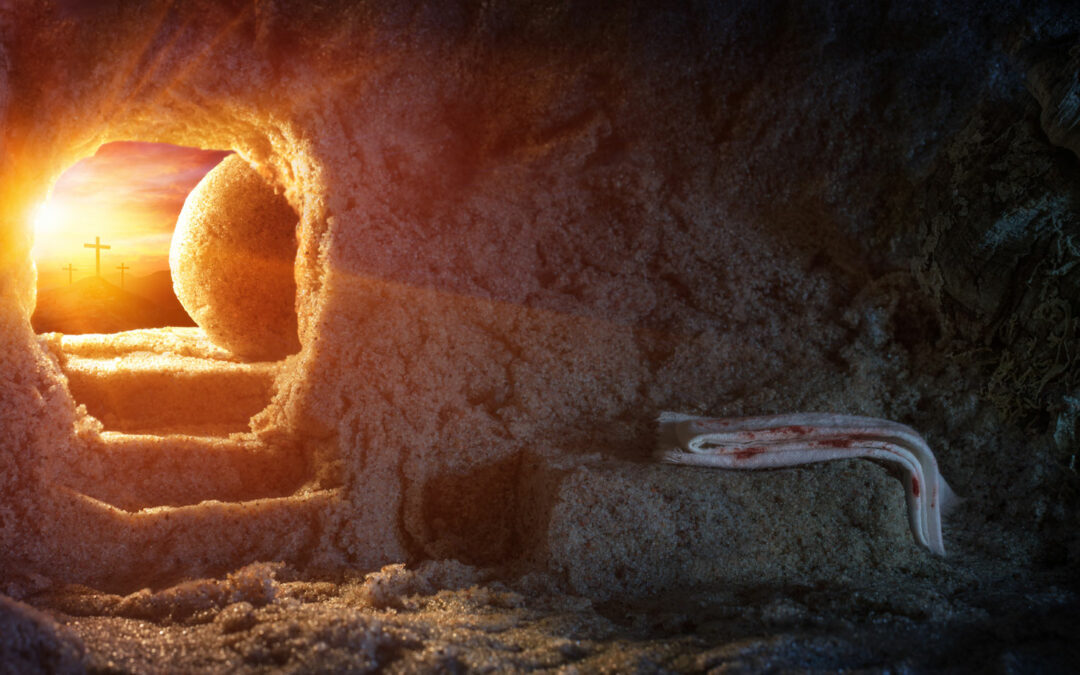 그리스도는 살아계십니다!!! 알렐루야 알렐루야!