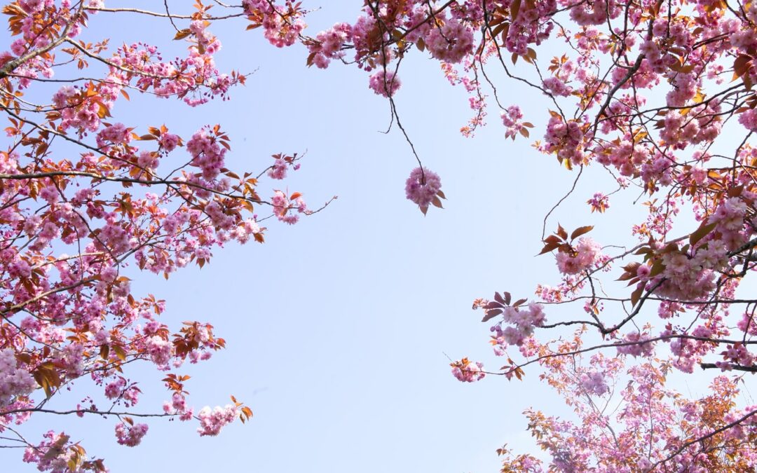 이처럼 어려운 상황에서 사랑은 우리에게 생명을 줍니다