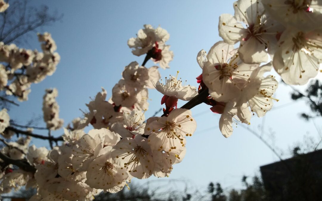 부활 축하드립니다!!